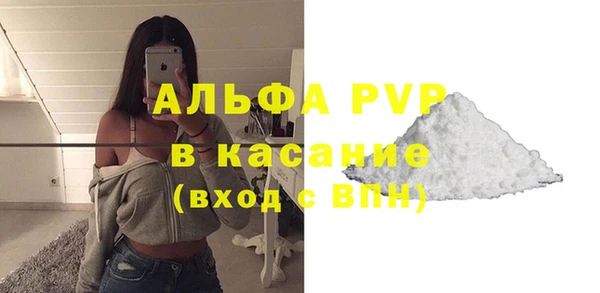 твердый Новодвинск