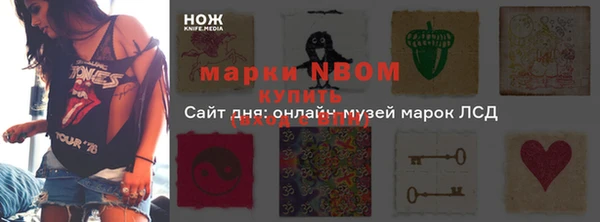 твердый Новодвинск