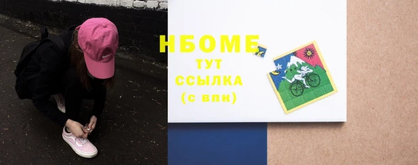 твердый Новодвинск