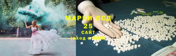 твердый Новодвинск