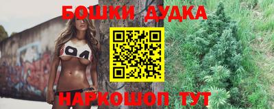 гашик Будённовск