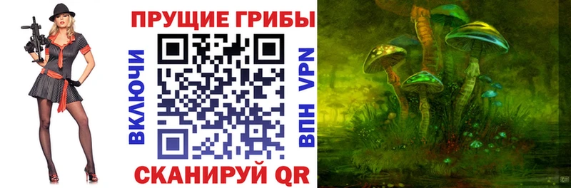 где купить   Новоалтайск  Галлюциногенные грибы ЛСД 