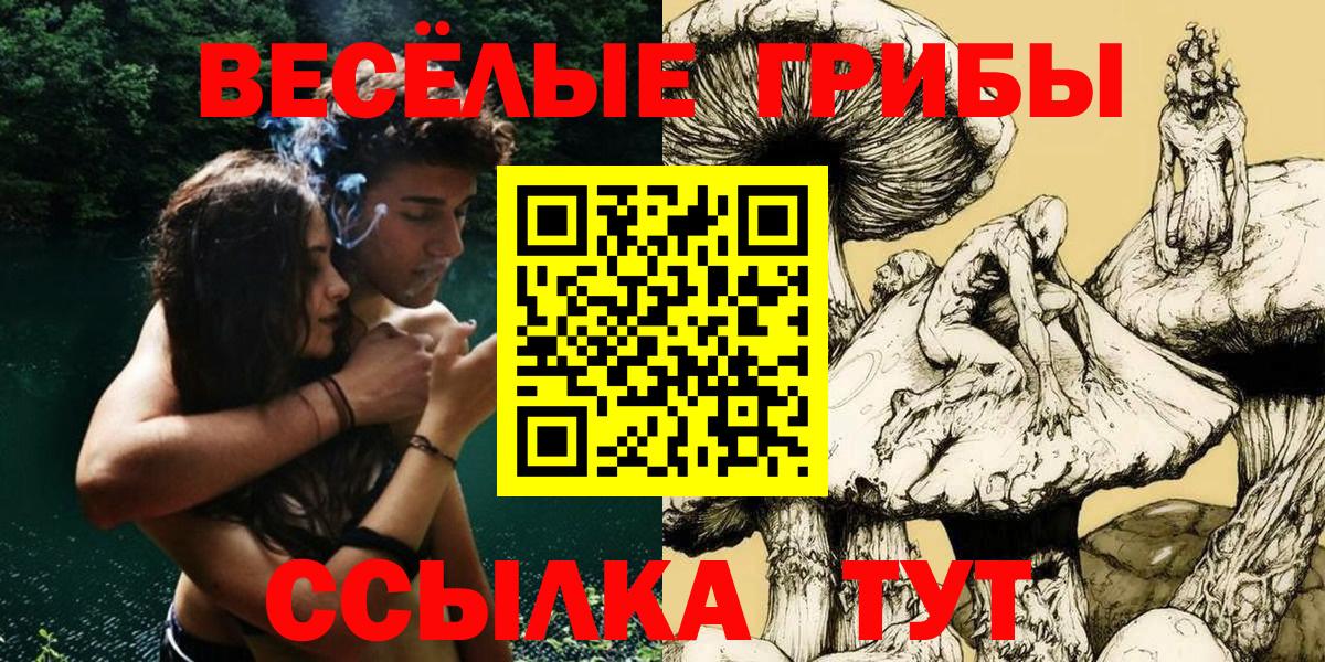 Новоалтайск  Галлюциногенные грибы мухоморы  Вход с VPN 