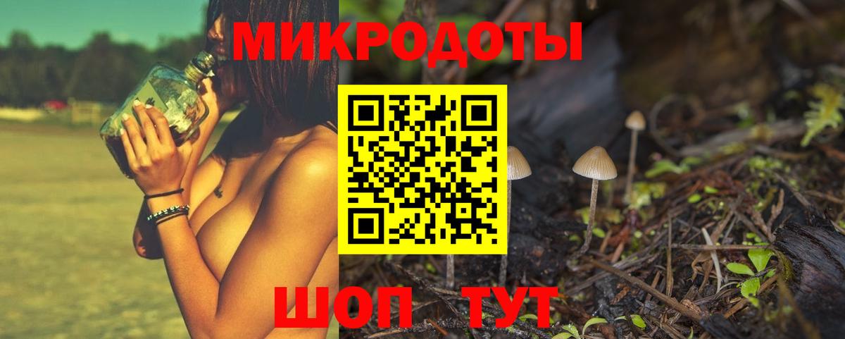 Галлюциногенные грибы GOLDEN TEACHER Новоалтайск