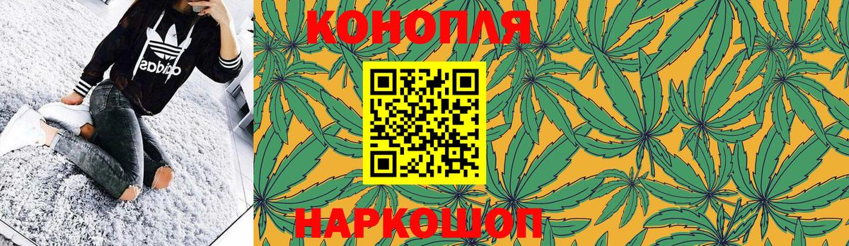 Шишки марихуана OG Kush Новоалтайск